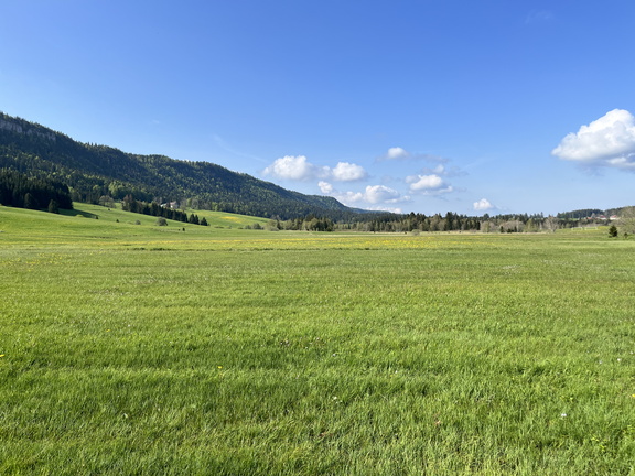 23-05-23 09-42-44 5566